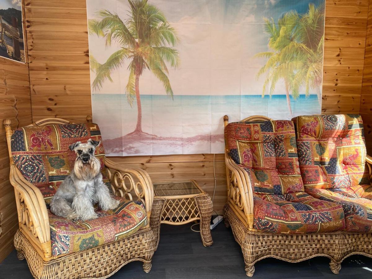 Ivy Coastal Cottage 캐이스터 온 씨 외부 사진